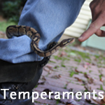 Click here for temperaments